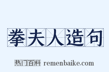 拳夫人造句是什么意思的图片